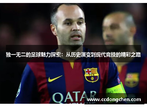 独一无二的足球魅力探索：从历史演变到现代竞技的精彩之路