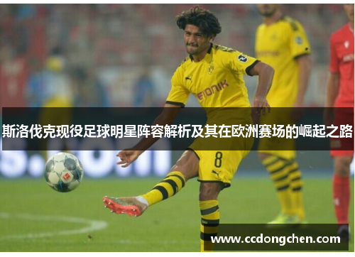 斯洛伐克现役足球明星阵容解析及其在欧洲赛场的崛起之路