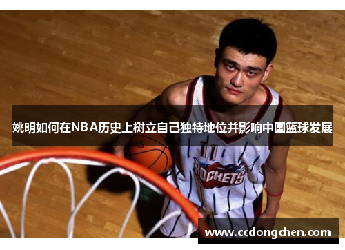 姚明如何在NBA历史上树立自己独特地位并影响中国篮球发展