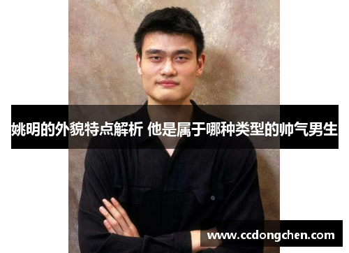 姚明的外貌特点解析 他是属于哪种类型的帅气男生