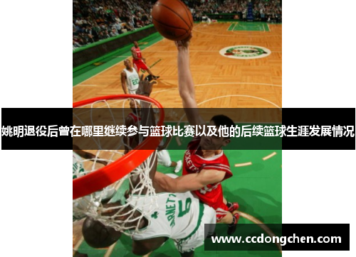 姚明退役后曾在哪里继续参与篮球比赛以及他的后续篮球生涯发展情况