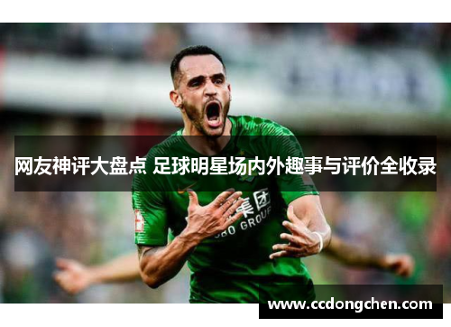 网友神评大盘点 足球明星场内外趣事与评价全收录