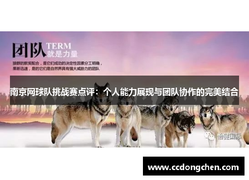 南京网球队挑战赛点评：个人能力展现与团队协作的完美结合
