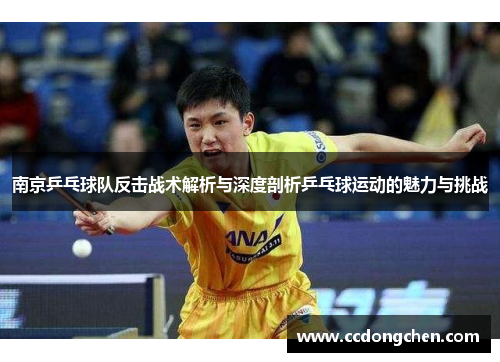 南京乒乓球队反击战术解析与深度剖析乒乓球运动的魅力与挑战