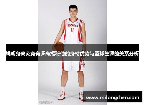 姚明身高究竟有多高揭秘他的身材优势与篮球生涯的关系分析