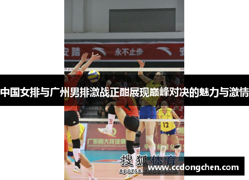 中国女排与广州男排激战正酣展现巅峰对决的魅力与激情
